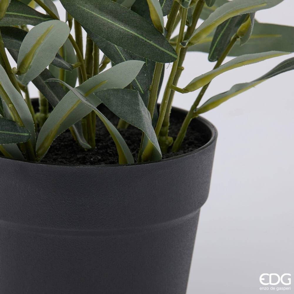 EDG Olivo con vaso H 65 cm 3 EDG Olivo con vaso H 65 cm - immagine 3