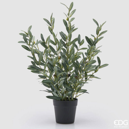 EDG Olivo con vaso H 65 cm 9 2300502A700