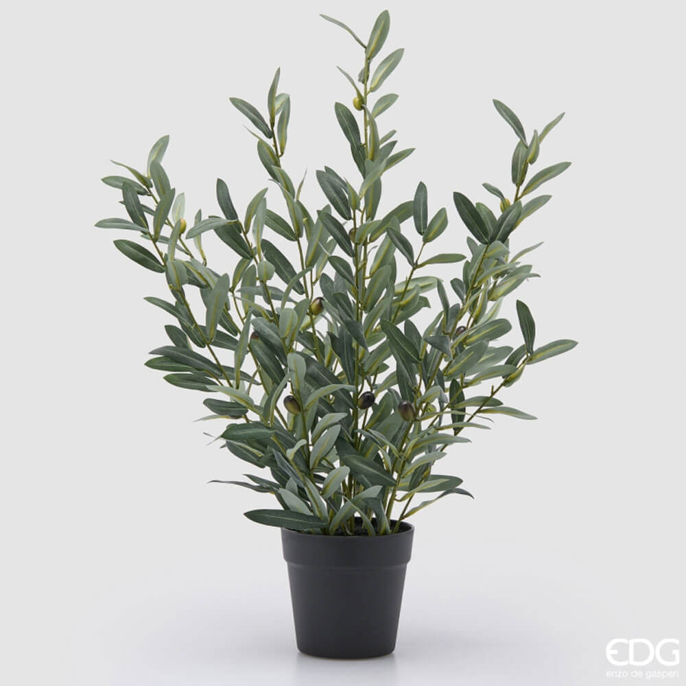EDG Olivo con vaso H 65 cm 5 EDG Olivo con vaso H 65 cm - immagine 5