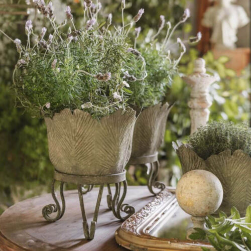 Alternative view of Blanc MariClo’ Porta Piante Metallo Giardino Segreto - 3 dimensioni