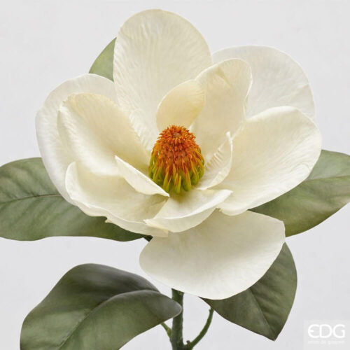 Alternative view of EDG Ramo Magnolia con Foglie H64 cm