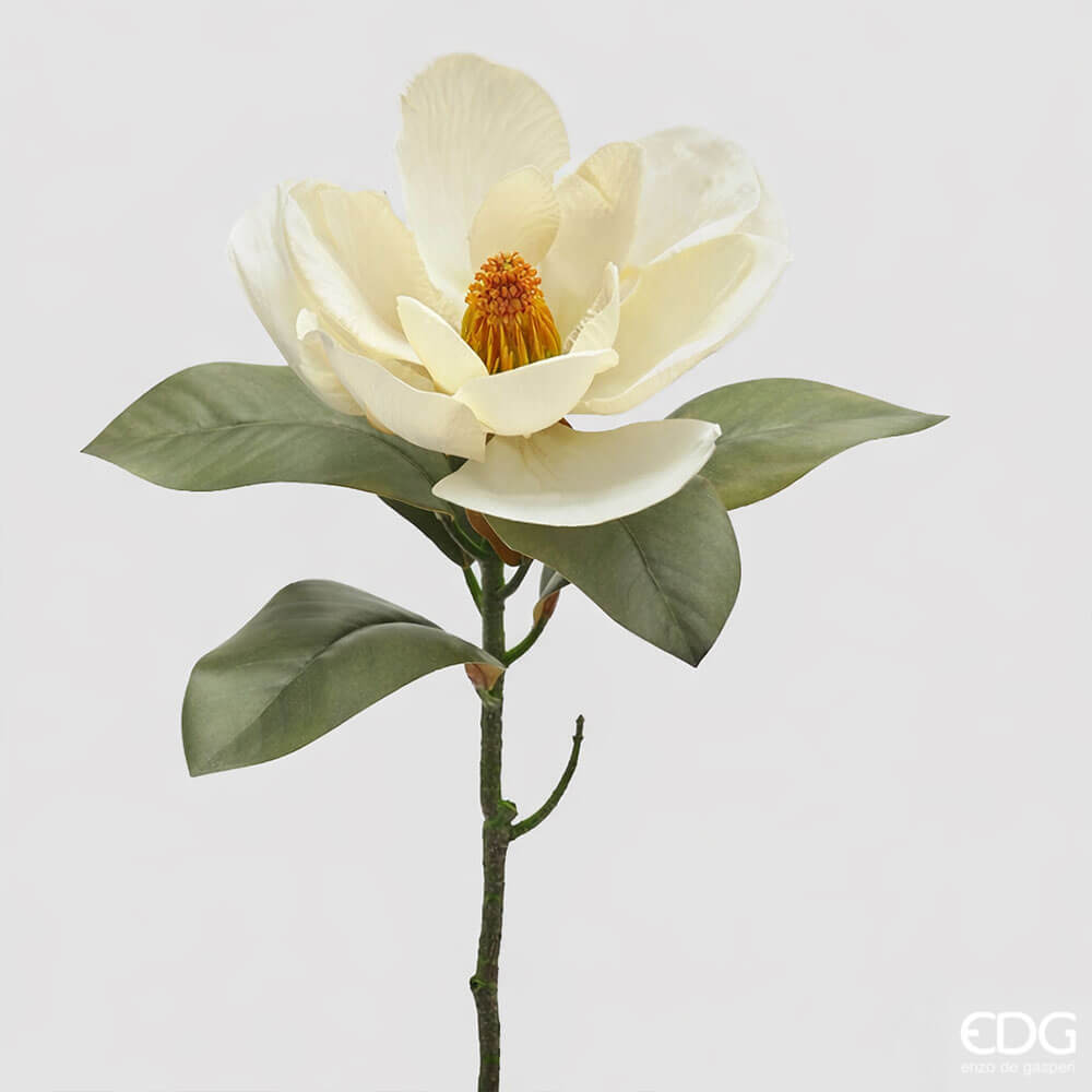 EDG Ramo Magnolia con Foglie H64 cm 1 Ramo magnolia artificiale EDG con fiore bianco avorio e foglie verdi