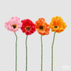 Ramo papavero artificiale EDG Real Touch in quattro colori assortiti