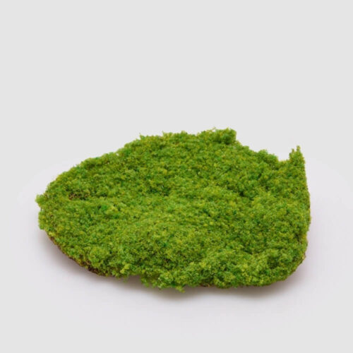 Alternative view of EDG Zolla di Muschio Decorativo D 20 cm