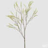 EDG Ramo di Salice Verde Decorativo H 100 cm