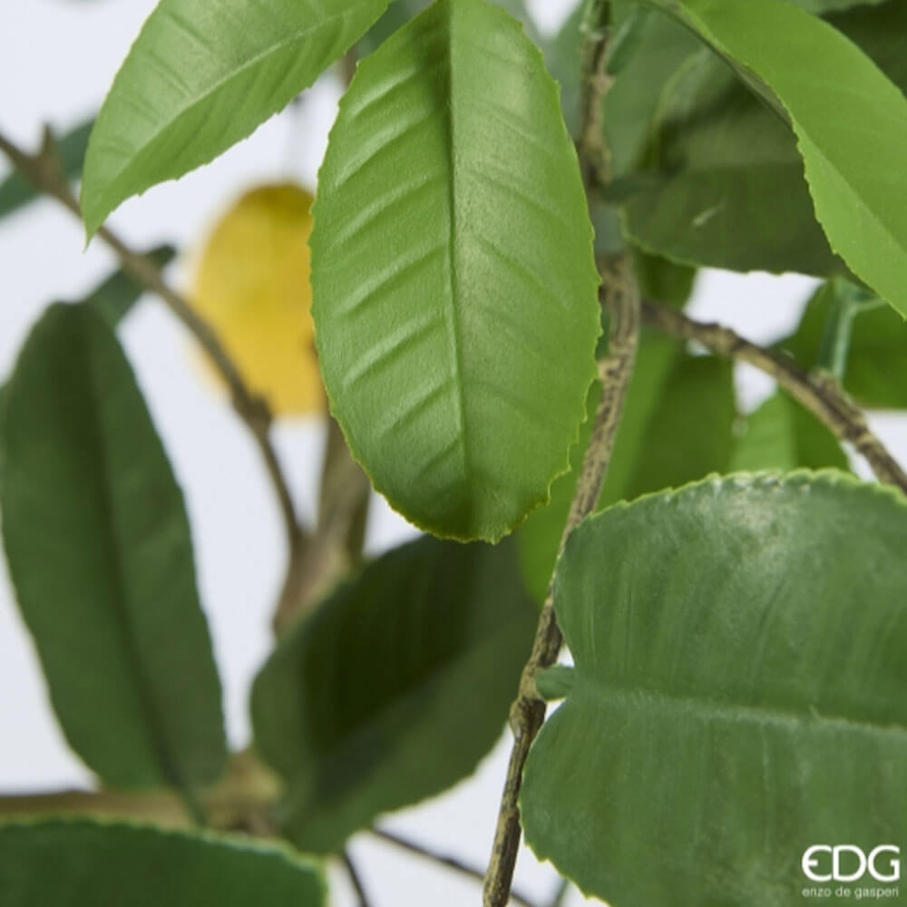 EDG Pianta di Limone artificiale H 125 cm 5 EDG Pianta di Limone artificiale H 125 cm - immagine 5