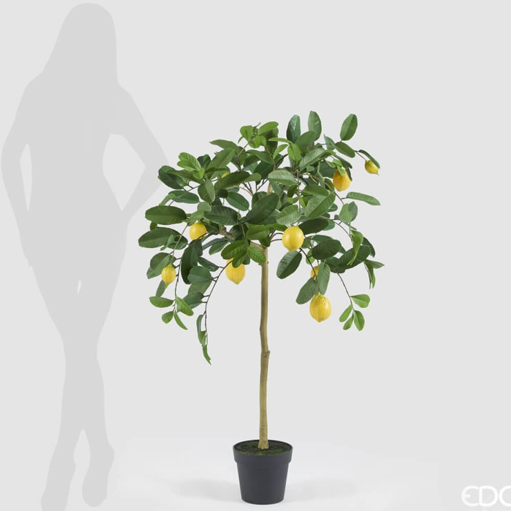 EDG Pianta di Limone artificiale H 125 cm 2 EDG Pianta di Limone artificiale H 125 cm - immagine 2