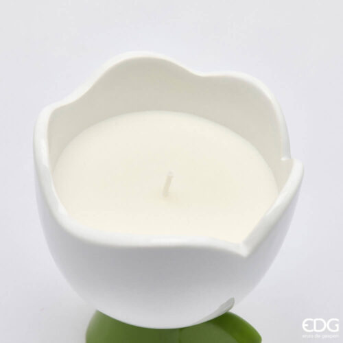 Alternative view of EDG Candela profumata Tulip Frangipani H11