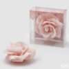 Candela EDG a forma di rosa rosa cipria, modello galleggiante, con petali scolpiti e confezione trasparente.