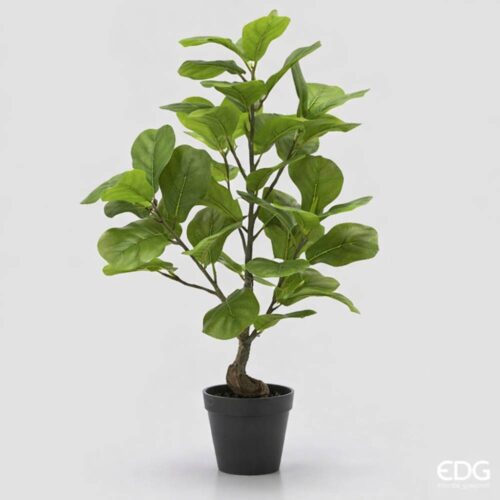 Pianta artificiale Ficus Lyrata con foglie verdi e vaso nero, altezza 66 cm.