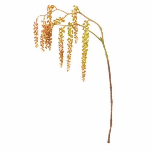 Ramo artificiale Nuvole di Stoffa meliloto verde chiaro con grappoli pendenti e stelo lungo, altezza 90 cm.
