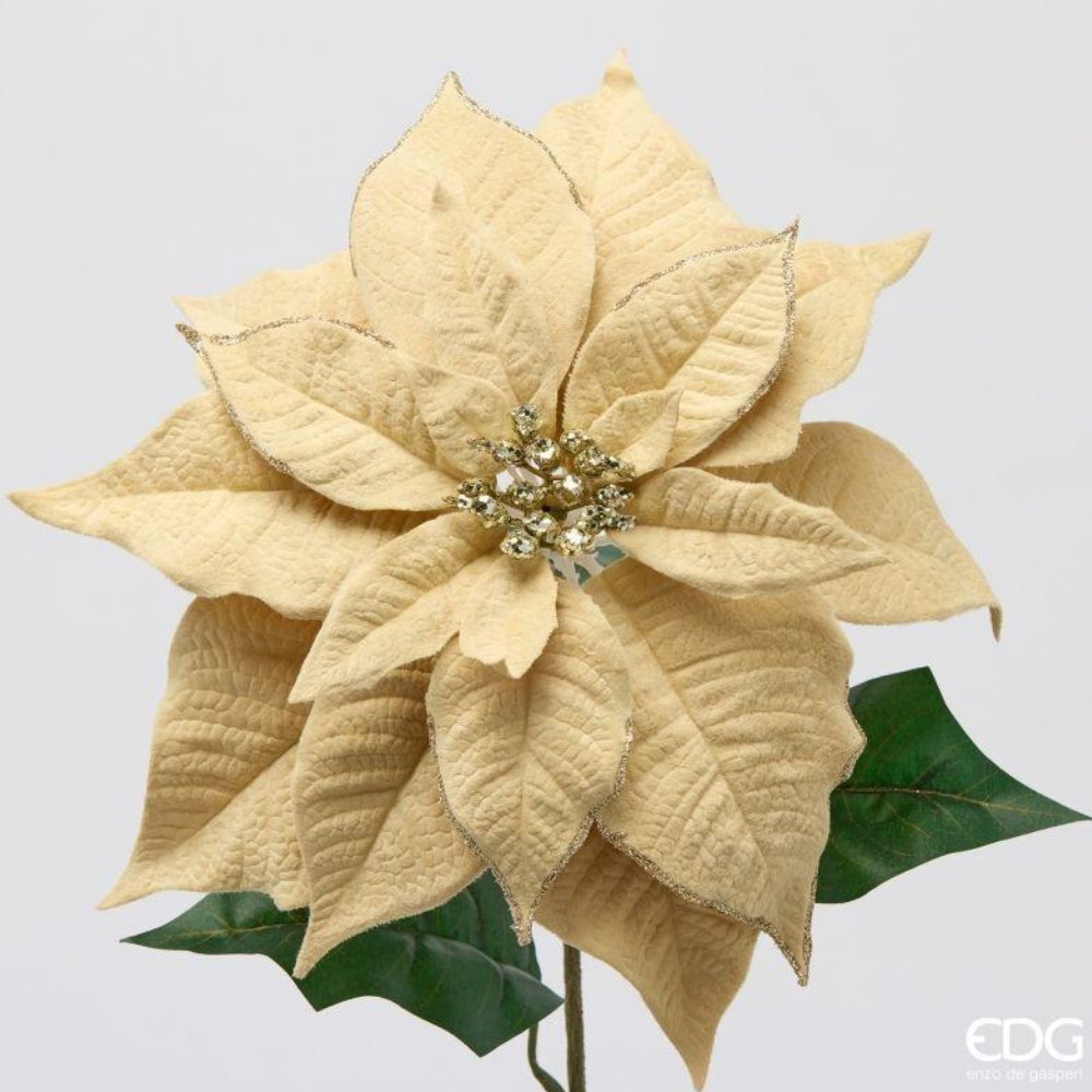 EDG Stella di Natale Velvet Ramo Avorio Oro H 71 - immagine 2