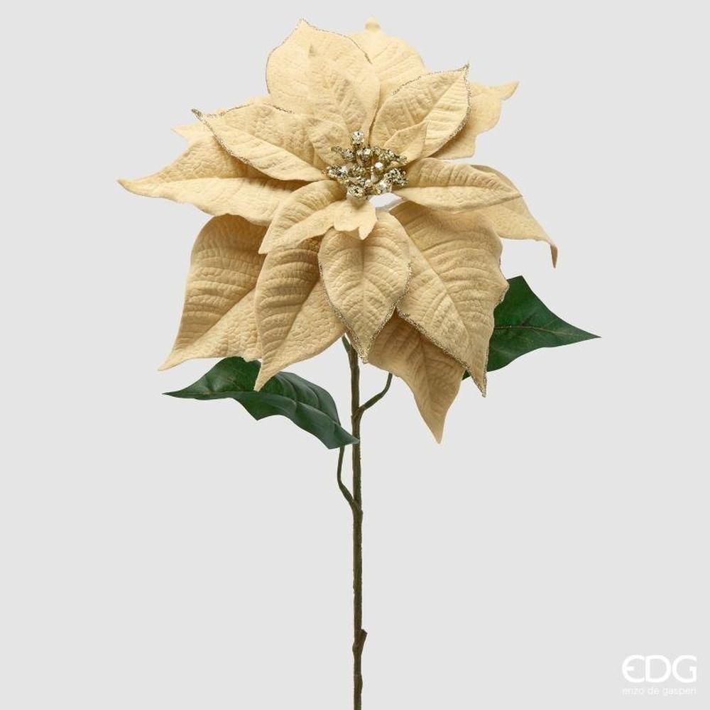 EDG Stella di Natale Velvet Ramo Avorio Oro H 71