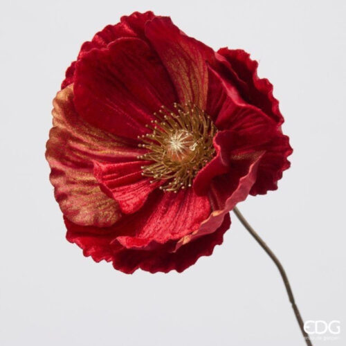 Alternative view of EDG Papavero Velluto Ramo Rosso H 80