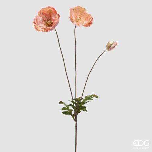 EDG Papavero Velluto Ramo Rosa Antico H 80