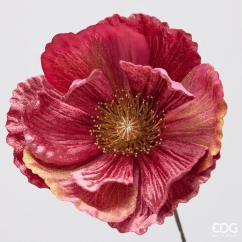 Alternative view of EDG Papavero Velluto Ramo Rosa Scuro H 80