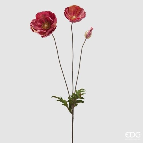 EDG Papavero Velluto Ramo Rosa Scuro H 80