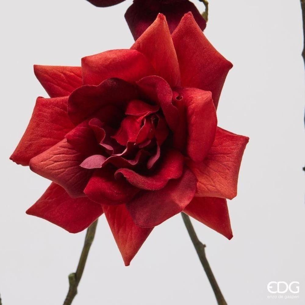 EDG Rose Branche Rouge Mix H 80 – Image 2