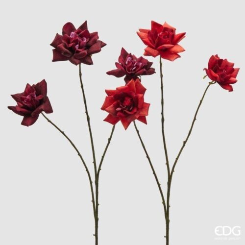 EDG Rose Branche Rouge Mix H 80
