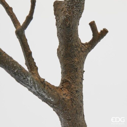 Alternative view of EDG Acacia Ramo Nero H 79
