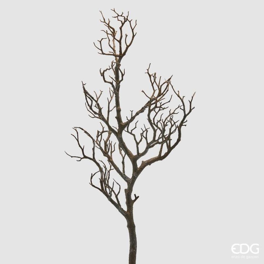 EDG Acacia Ramo Nero H 79