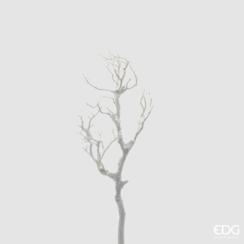 EDG Acacia Innevata Ramo Bianco H 68