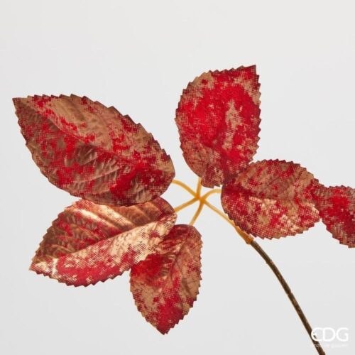 Alternative view of EDG Rama de haya roja dorada H 86
