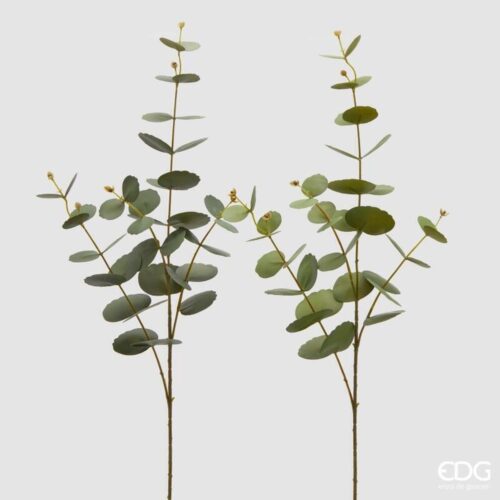 EDG Branche d'eucalyptus vert mixte H 89