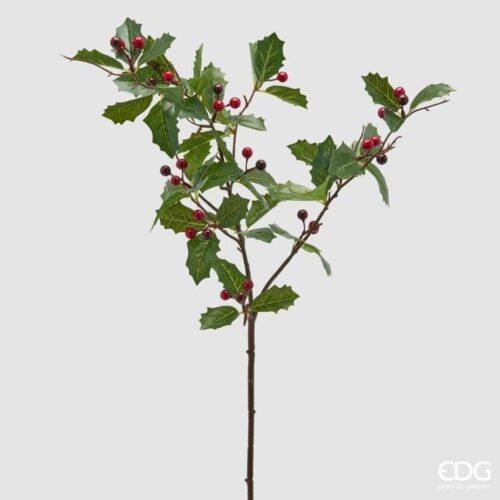 EDG Ramo di Agrifoglio con Bacche Verde H 77