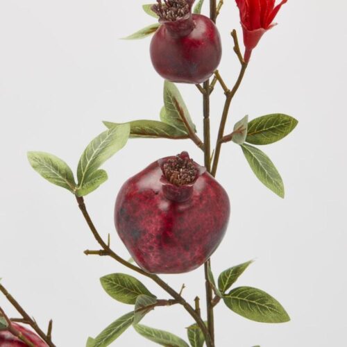 Alternative view of EDG Ramo di Melograno Bordeaux H 76