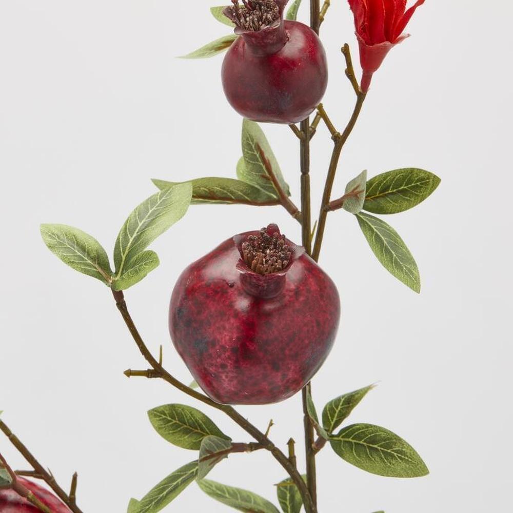 EDG Ramo di Melograno Bordeaux H 76 - immagine 2