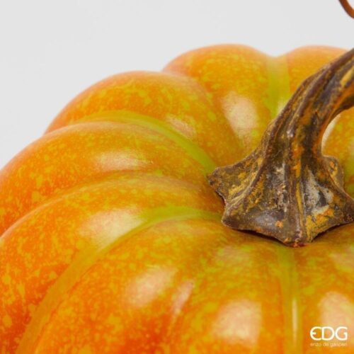 EDG Citrouille orange H 20 – Image 3