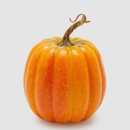 EDG Citrouille orange H 20