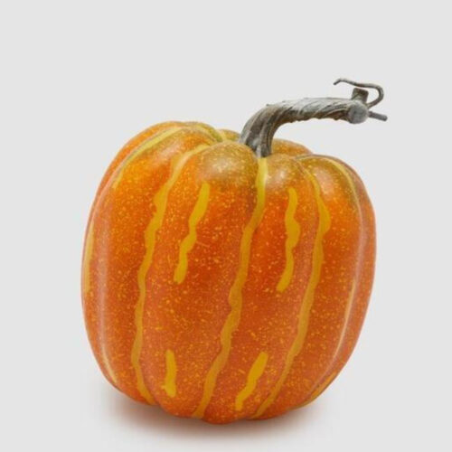 EDG Citrouille orange Mix H 16