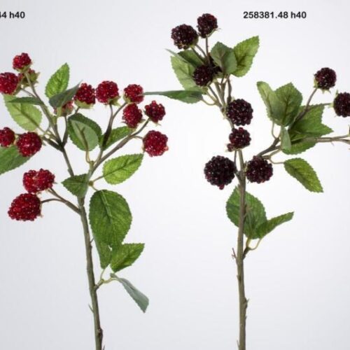 Alternative view of EDG Ramo di More Bordeaux H 40