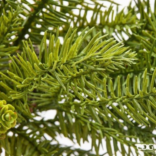 EDG Corona Pino con Pigne Verde D 65 - immagine 3