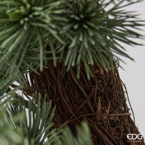 EDG Corona Cedro Verde D 70 - immagine 3