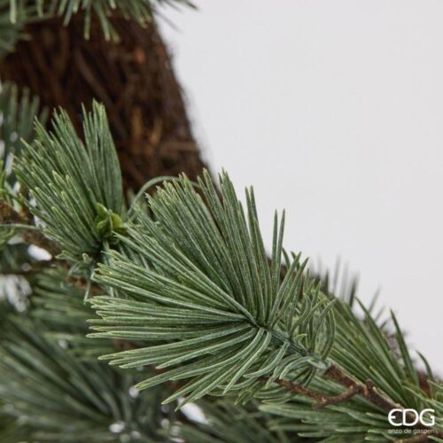 EDG Corona Cedro Verde D 70 - immagine 4