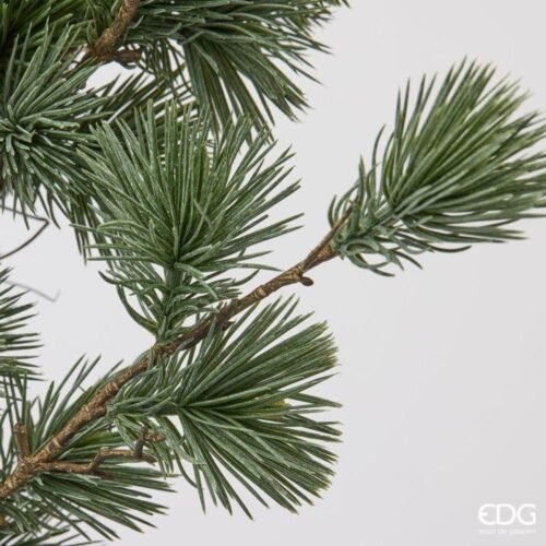 EDG Corona Cedro Verde D 70 - immagine 5