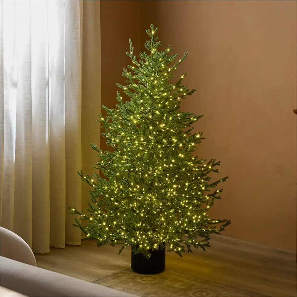 Pino natalizio verde alto 150 cm con 1600 luci calde, chioma folta e vaso cilindrico nero.