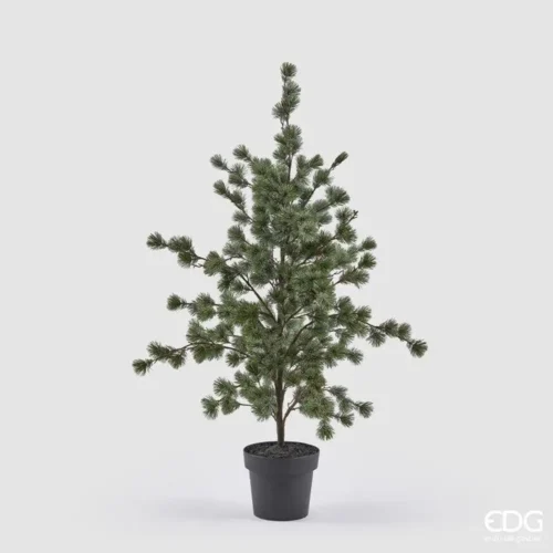 EDG Cedro Real Touch con Vaso H 120 cm - immagine 5
