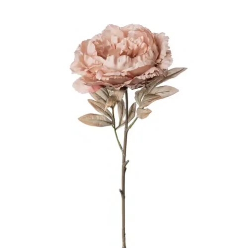 Alternative view of Fiori di Lena Peonia Rosa Cipria Real Touch H 80 cm